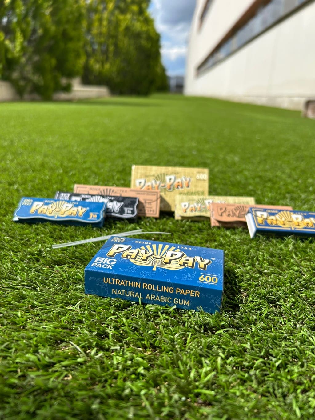 Familia de productos Pay-Pay: Classic, GoGreen, Origin y Big Pack 600